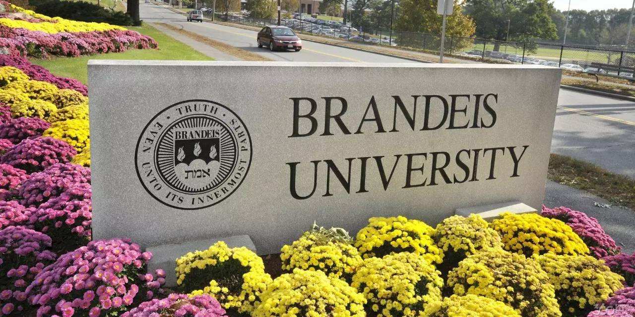 布兰迪斯大学（Brandeis University）有哪些优势专业及排名